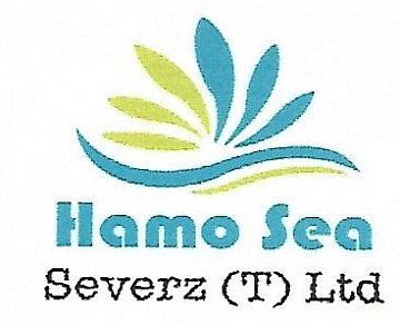 Company Logo of Hamo Sea Severz (T) Ltd