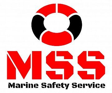 Company Logo of MSS CO. LTD.