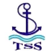 Company Logo of Taihua Ship Services