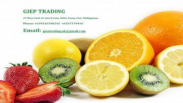 Company Logo of Giep Trading