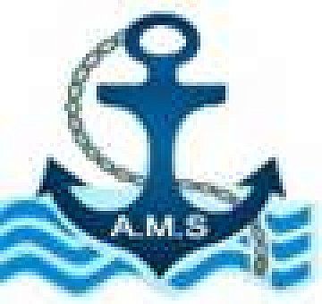 Company Logo of Alhadidico Marine Services (AMSCO)