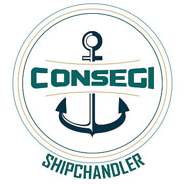 Company Logo of Consegi Servicos