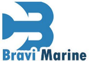 Company Logo of Bravi Marine Services