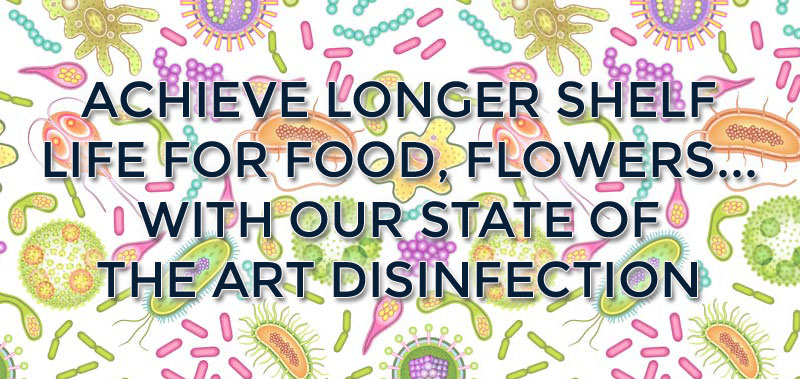Longer shel life for food and plants